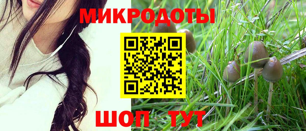 Псилоцибиновые грибы мицелий Салехард
