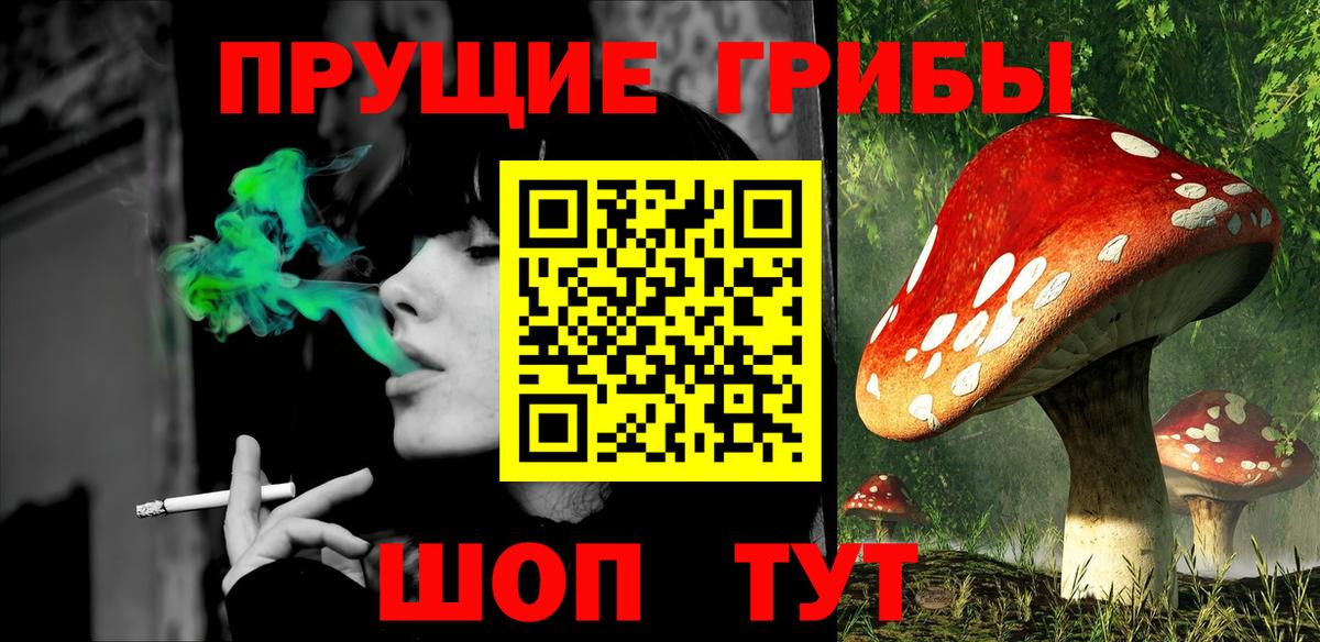 Псилоцибиновые грибы Psilocybe  Вход с VPN  Псилоцибиновые грибы прущие грибы  Салехард 